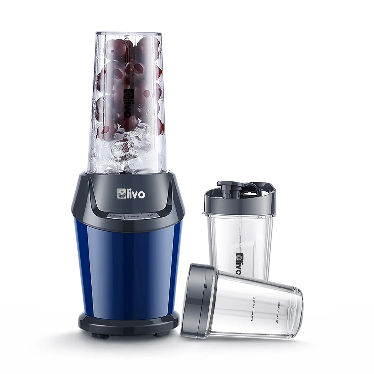 Máy Xay Sinh Tố OLIVO MB1000 Máy Xay Sinh Tố OLIVO MB1000