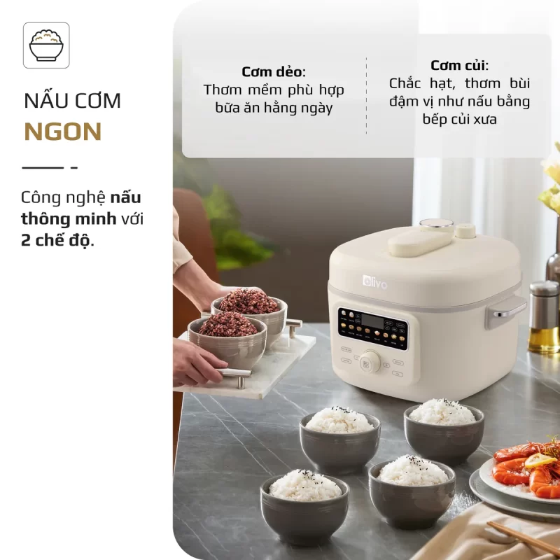 Nồi Áp Suất Điện Đa Năng OLIVO PC40