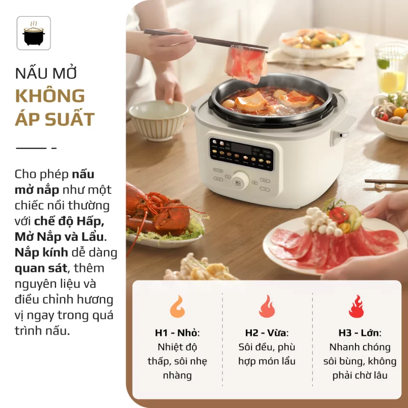 Nồi Áp Suất Điện Đa Năng OLIVO PC40