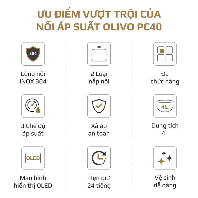 Nồi Áp Suất Điện Đa Năng OLIVO PC40