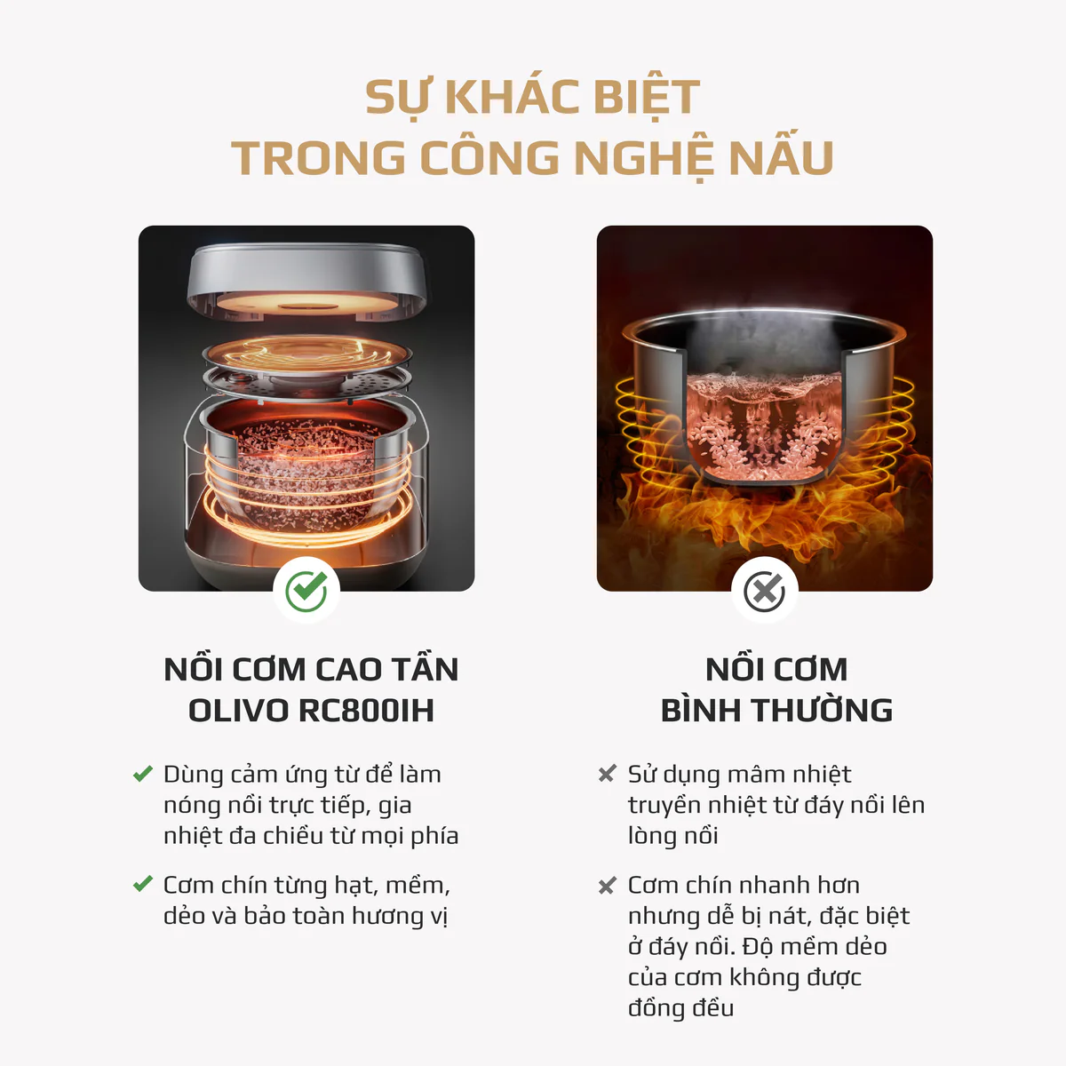RC800IH_LDP_VUONG-10_773e032c-c700-481c-b87d-274e88889491