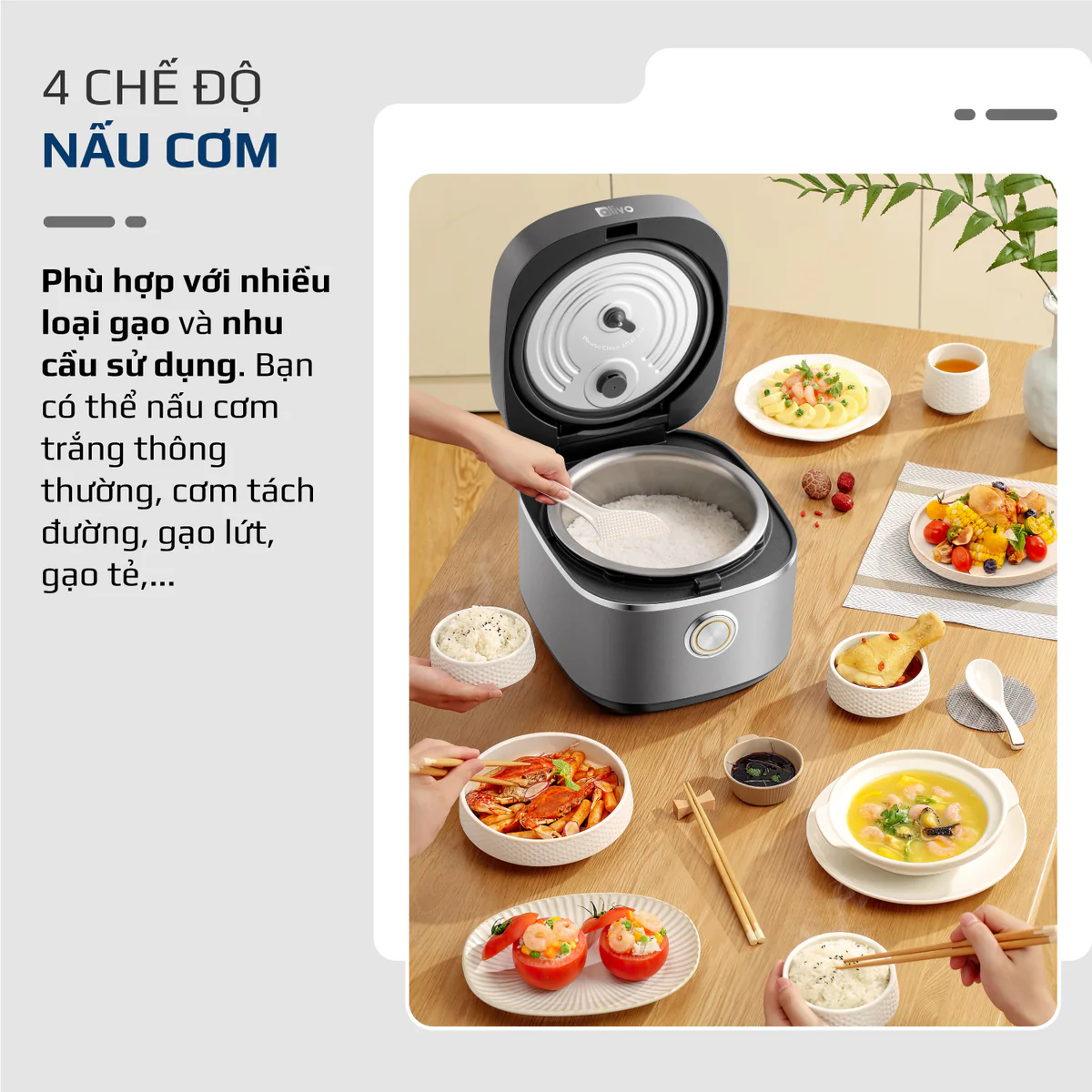 RC86-vuong-16_38e1d6e8-9dd1-4b07-9e2e-25081e2782f6 (1)