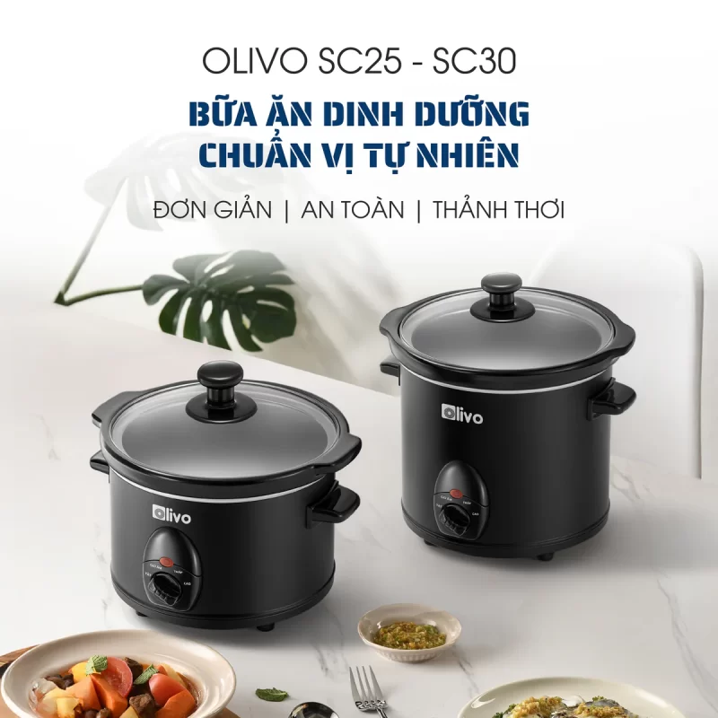 Nồi Nấu Chậm OLIVO SC30