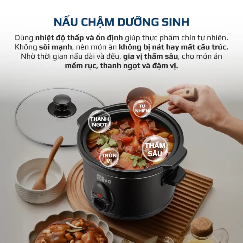 Nồi Nấu Chậm OLIVO SC30