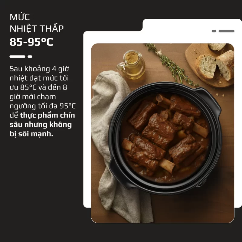 Nồi Nấu Chậm OLIVO SC30
