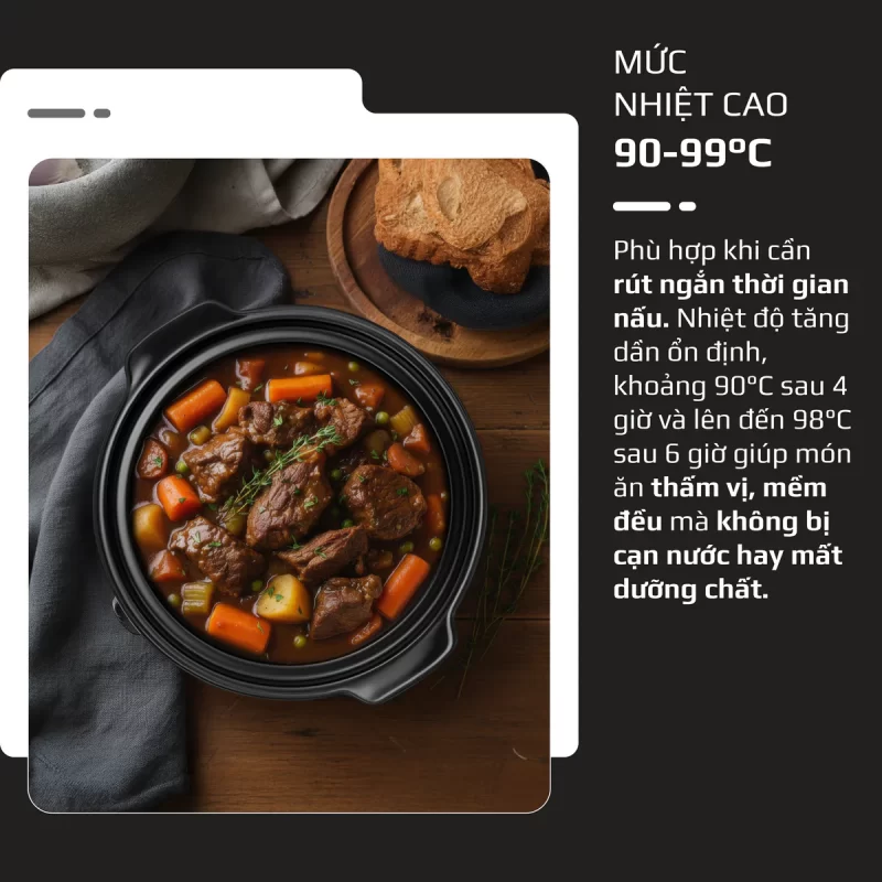 Nồi Nấu Chậm OLIVO SC30