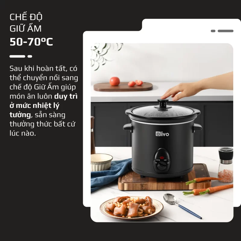 Nồi Nấu Chậm OLIVO SC30