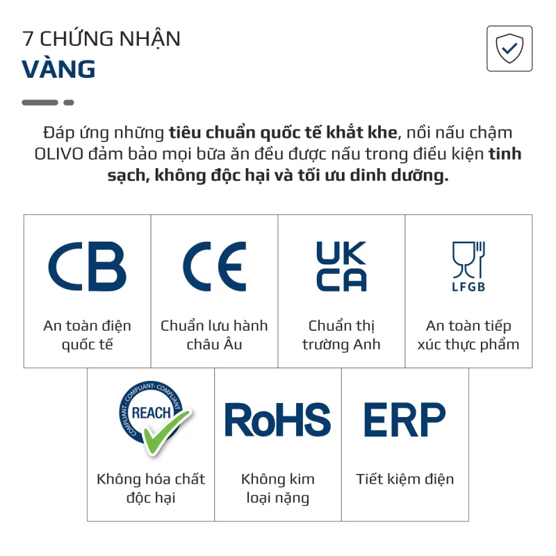 Nồi Nấu Chậm OLIVO SC30